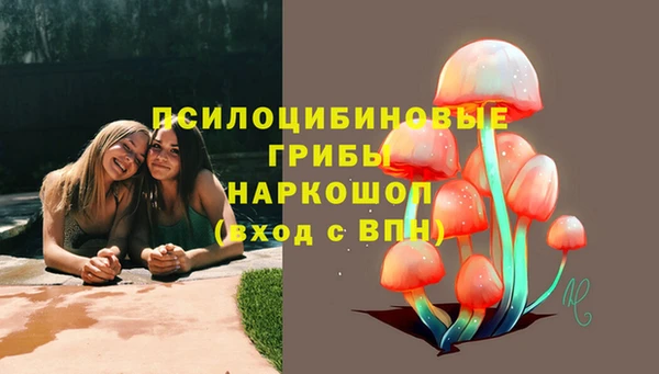 альфа пвп Богородицк