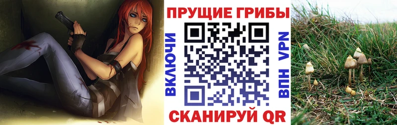 Псилоцибиновые грибы мицелий  Купить где  Анадырь 